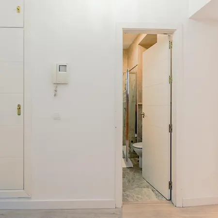 그린-아파트먼트 플레노 센트로 * 세비야